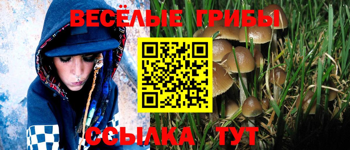 Галлюциногенные грибы ЛСД Троицк