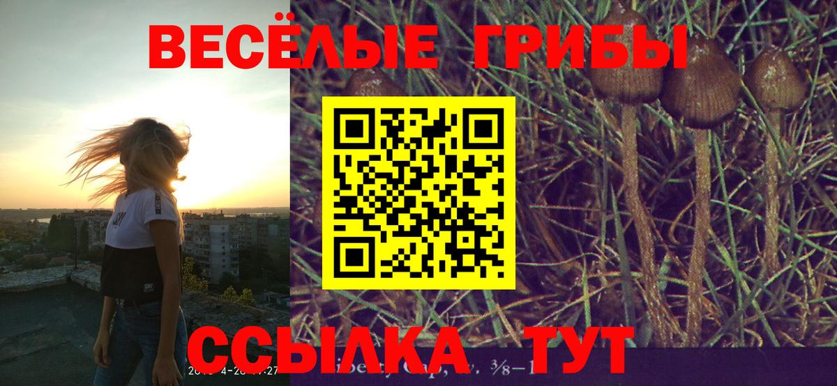 Троицк  Галлюциногенные грибы Psilocybine cubensis  Вход с VPN 